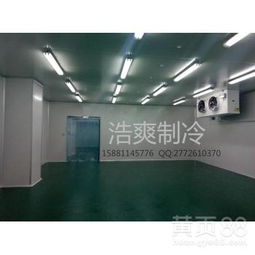 遂宁食品保鲜库与冷冻库 筑牢食品安全管理的基石